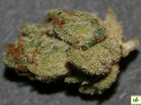 super_og_kush.jpg