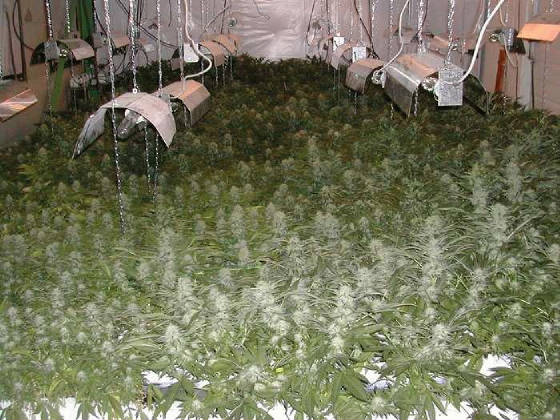 hydro.jpg
