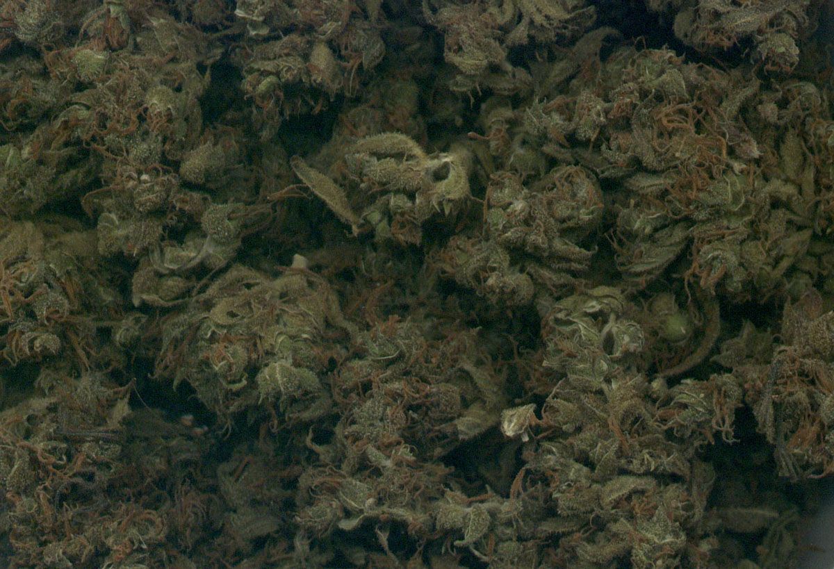 budbowl1.jpg