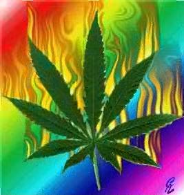 femalemarijuana.jpg